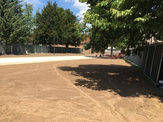 A sidewalk leading to the Schine Student Center has been completed, but new grass still needs to be grown on either side of it. Photo taken Aug. 3, 2016