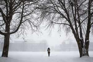 After all the stress of registering for spring classes, you get to walk to them in this weather.