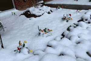 The prolonged winter weather in Syracuse tends to harm student's mental health and motivation. Professors need to be cognizant of that struggle this spring.