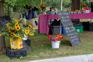 A vendor at the Golden Harvest Festival sells fresh produce and cut flowers for bundle prices. One of the few fresh produce vendors at the festival, the owners of this stand had lots to offer visitors. 